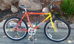Orange and yellow Motiv bike in front of a landscaping background
